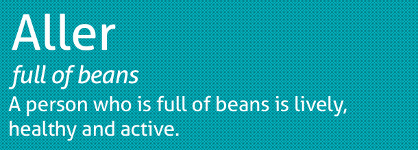 Web designer York - free Aller font for website Web designer York - free Aller font for website