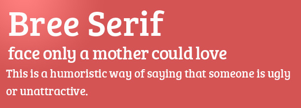 Web designer York - free Bree Serif font for website